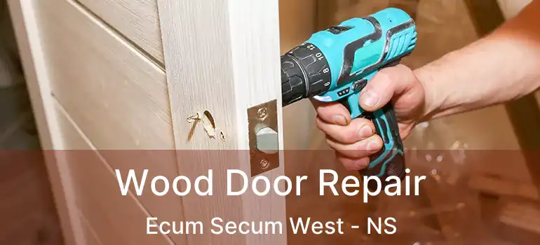  Wood Door Repair Ecum Secum West - NS