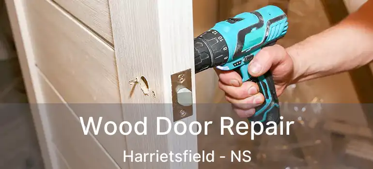  Wood Door Repair Harrietsfield - NS