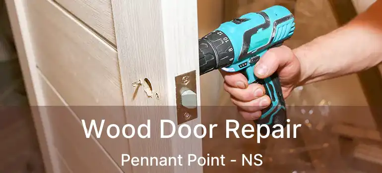  Wood Door Repair Pennant Point - NS