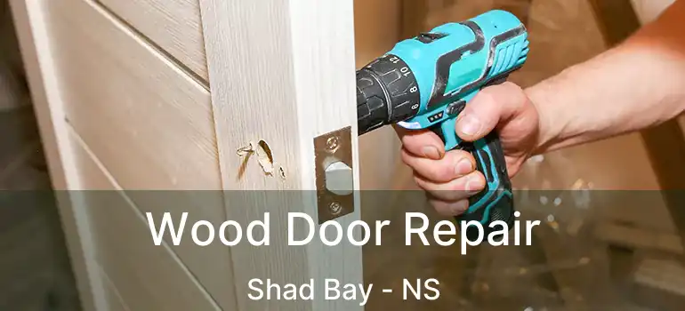  Wood Door Repair Shad Bay - NS