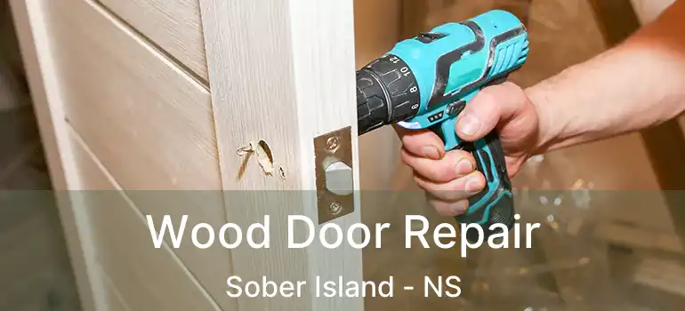  Wood Door Repair Sober Island - NS