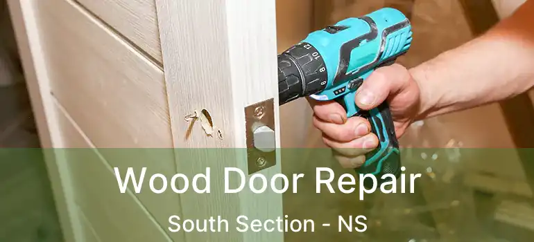  Wood Door Repair South Section - NS