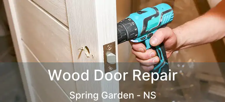  Wood Door Repair Spring Garden - NS