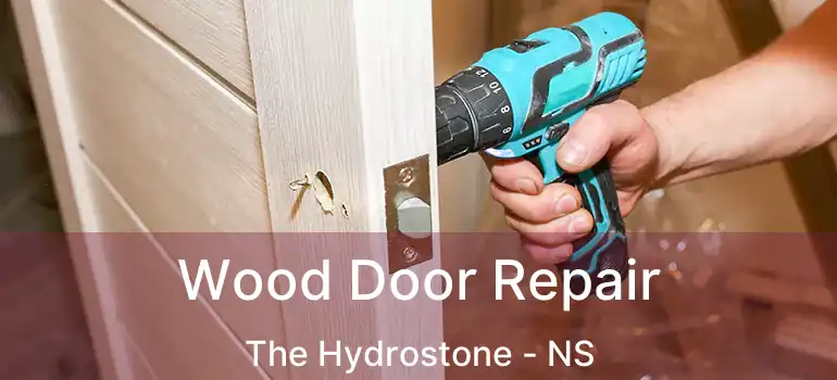  Wood Door Repair The Hydrostone - NS